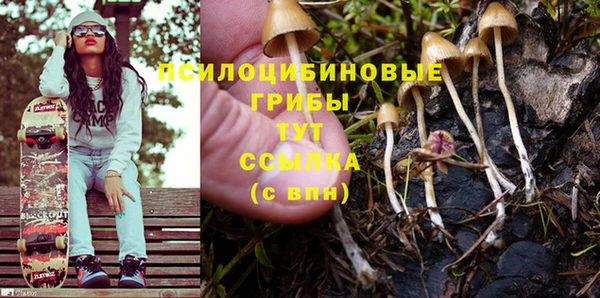гашик Белокуриха